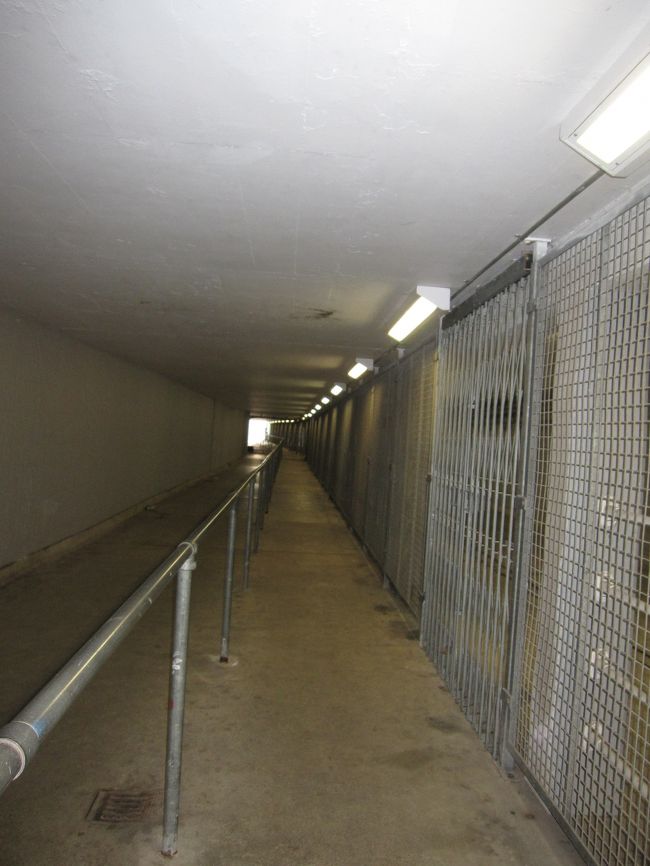 そしてけっこう長いよ・・・。<br /><br />でも、ちゃんと登り始めた！