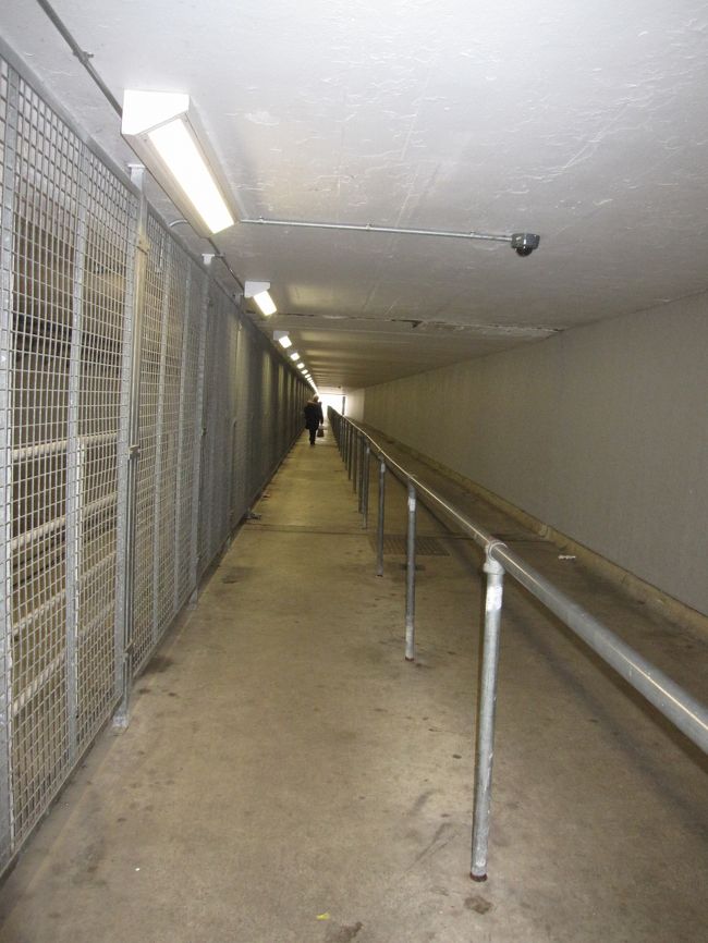 しかもこんな狭くて薄暗い通路。