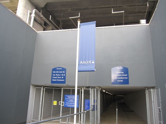 下り始めたと思ったら地下道の入口が。<br />でもなんか怪しい・・・。