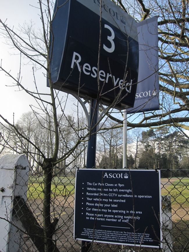 なんか広場みたいなところ。