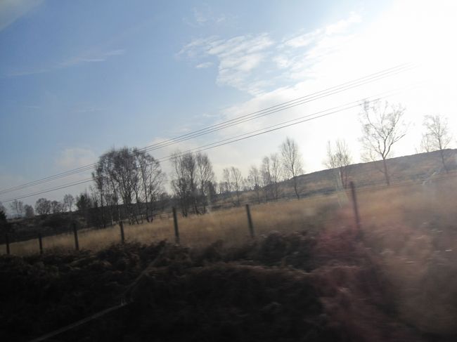 帰りの車窓からは馬が放牧されているのも見れました。<br />たぶん競走馬ではなさそうでしたが。