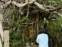 遠見台上の「神様の岩」