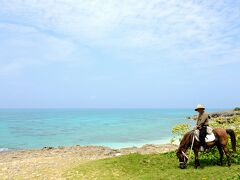 長間浜　識名馬(石垣島軍馬)と言い、沖縄の在来馬です。
