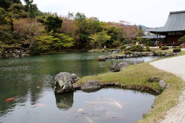 そうだ 京都、歩こう。~嵐山を歩く(前編)/一之船入uncafe Le Petit Suetomi・天龍寺・祇王寺