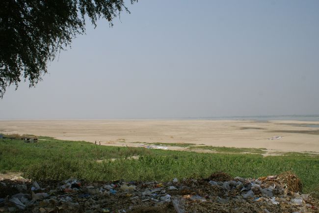 ゴミ捨て場に出てしまいました<br />