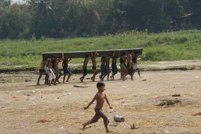 重そうに材木を運んでました<br />