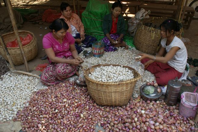 ニンニクも小ぶりです。<br />弁当箱を褒めたら…<br />