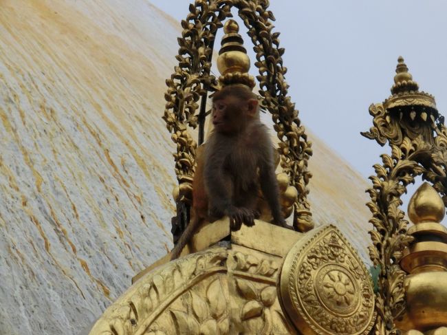 生き神 クマリちゃんに会えた ＜ ネパール旅行 2日目 その3