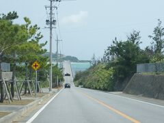 オープンエアーで古宇利島をドライブ。