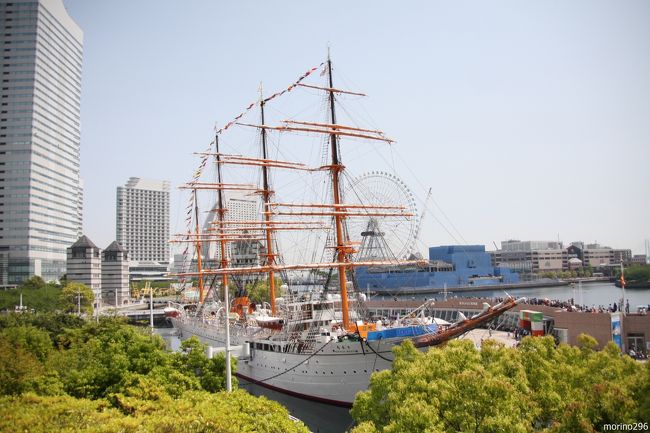 太平洋の白鳥・日本丸の総帆展帆』横浜(神奈川県)の旅行記