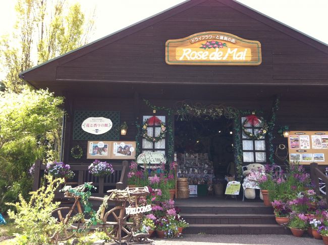 かわいいお店。<br /><br />時間はないけど少しだけ。