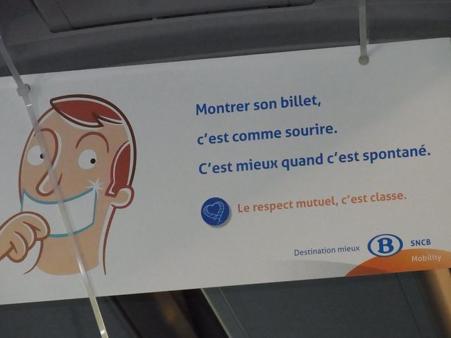 フランス語が分からないので、何のことかな？<br />最初、白いのはマスク？かなと思った。<br />しかし、マスクは普通しないだろうから、たぶんチケット？<br />どなたか読んで教えてください。