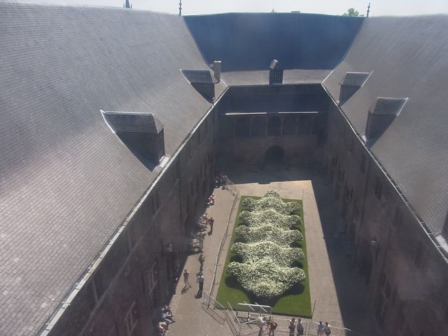 中庭を上から。