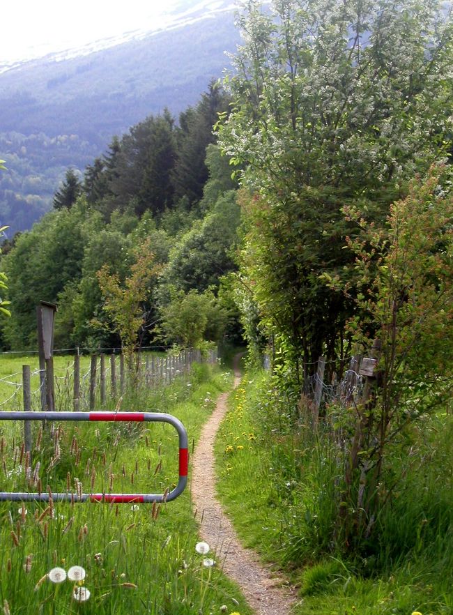 石造教会Ｈｏｖｅ Ｓｔｏｎｅ Ｃｈｕｒｃｈへ<br />これから石造教会へ行くのだが、通りがかりの人に道を聞くと、地図にもある畑の中の道を教えてくれたが、これも間もなく途切れ、全く道のない牧草地のなかを羊を避けながら歩いてようやくたどり着いた。こんなところを歩いたのは本当に久し振りだ。