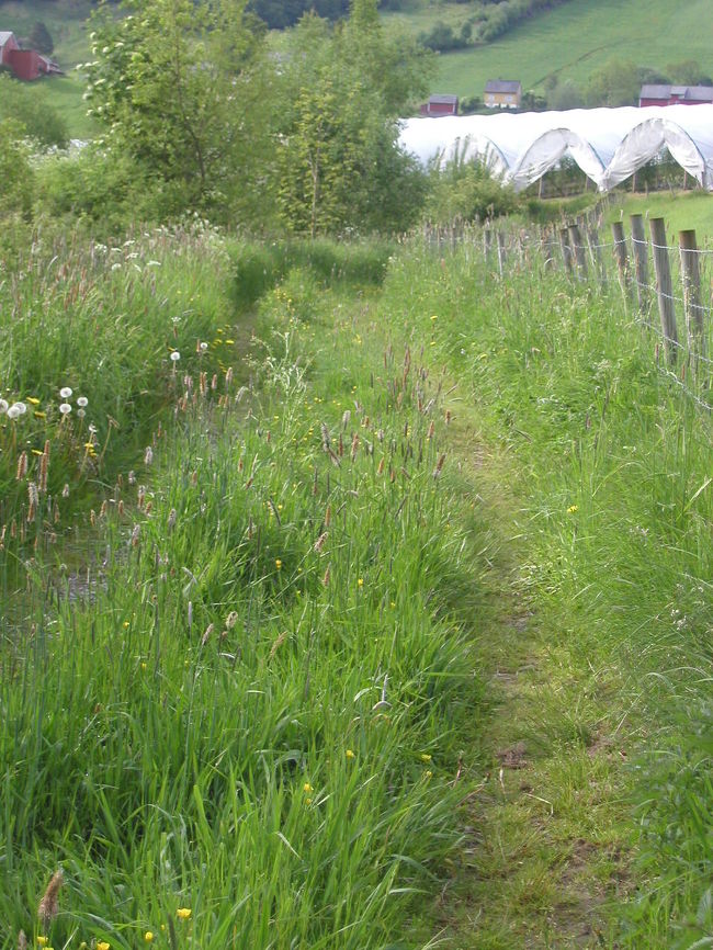 石造教会Ｈｏｖｅ Ｓｔｏｎｅ Ｃｈｕｒｃｈへ