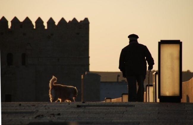 メスキータがクリスマスの朝は入場無料という話を聞きつけ早速出かけます。<br />写真はクリスマスの早朝に犬のお散歩に励むおじいちゃん。<br />絵になります。