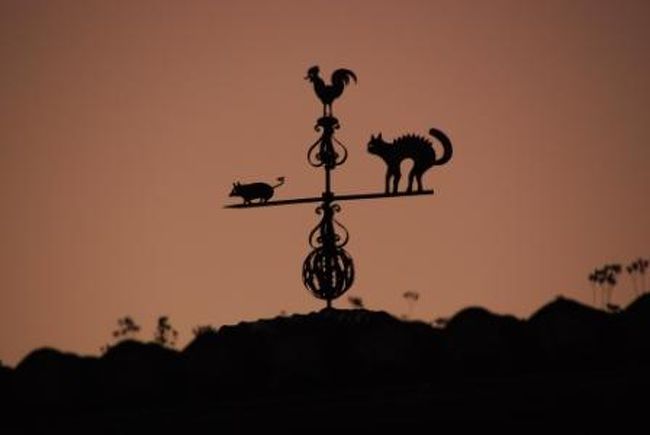 途中こんなかわいい風見鶏を屋根の上に見つけました。