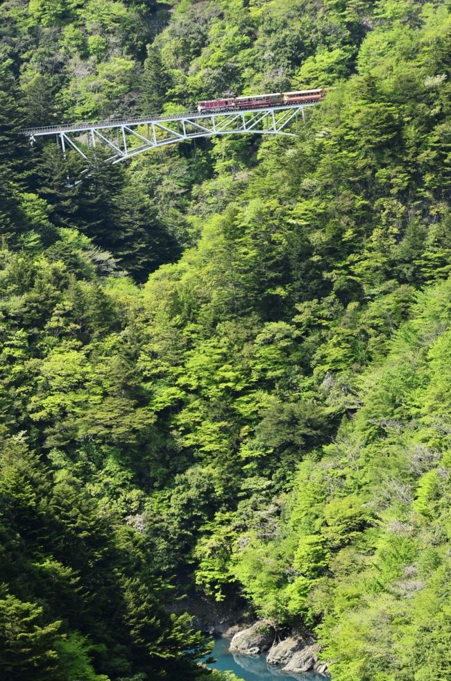 南アルプスあぷとライン(井川線)に乗って「湖の上に浮かぶ駅」に訪れてみた