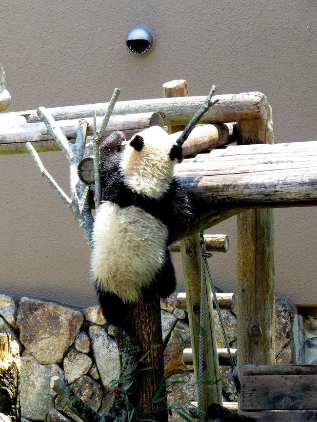 そして、また登ります。