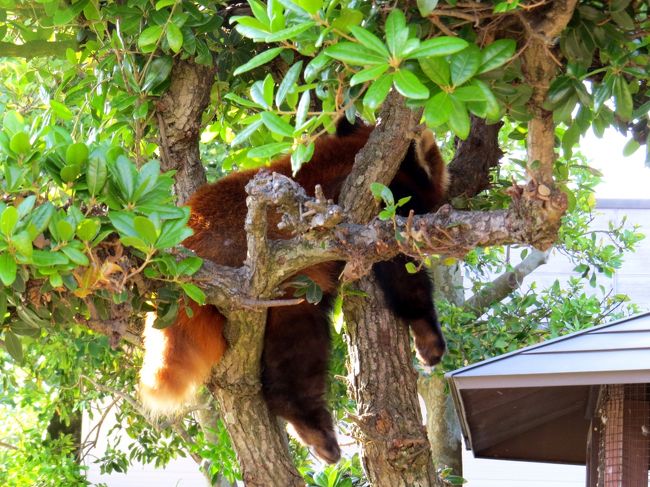 寝姿もキュート！！