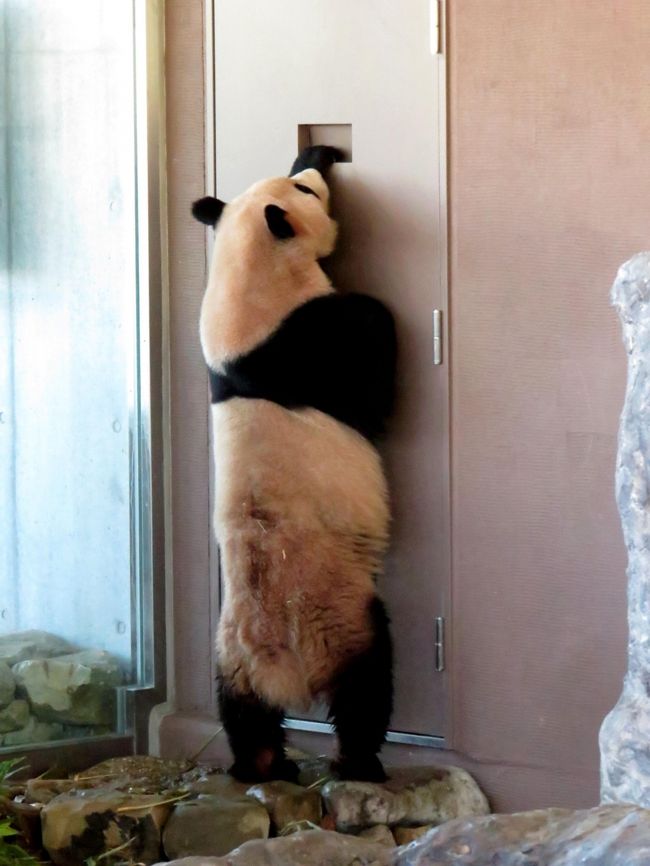 バックヤードが気になる陽浜ちゃん、