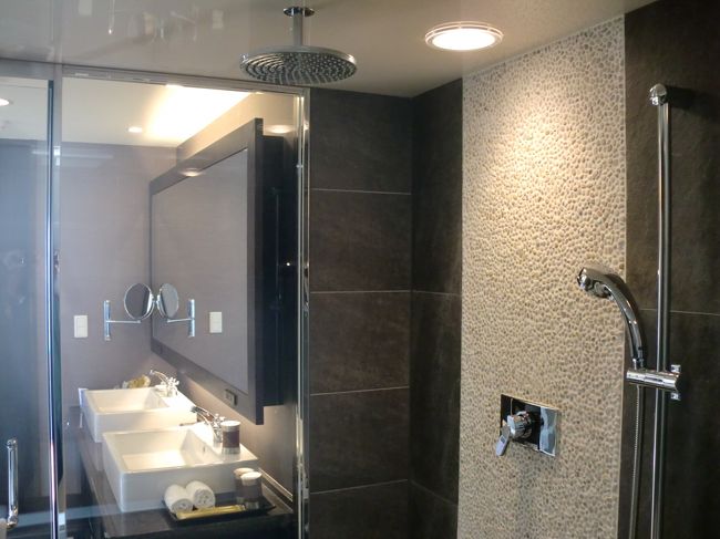 シャワー<br /><br />普通のシャワーと天井からのシャワー