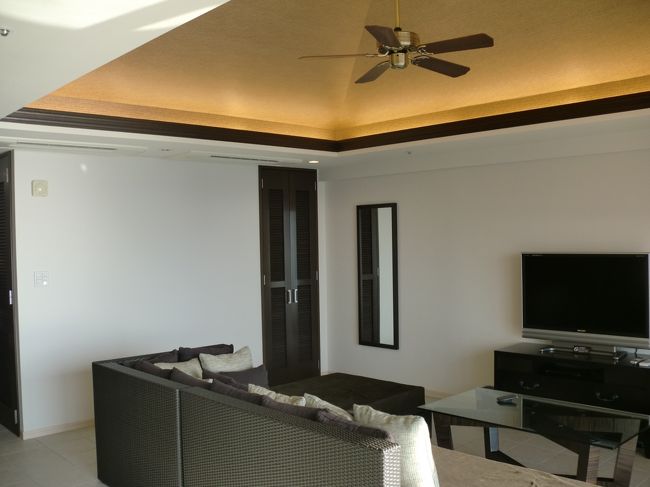 リビングルームの収納にはダイソンの掃除機