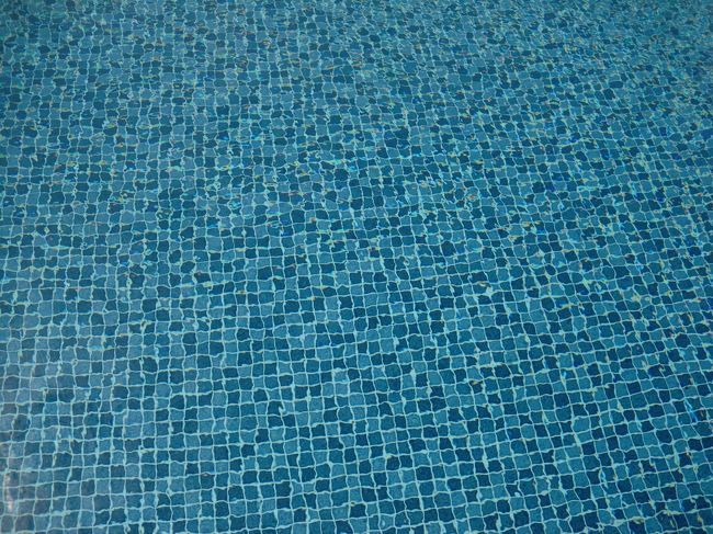 プール<br /><br />気温26度水温23度<br />