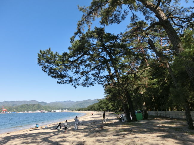 旅館に向かう途中、偶然気比の松原に辿り着きました。<br />海がきれい〜松がいっぱい〜。<br />釣りをしている方が多いですね。<br />