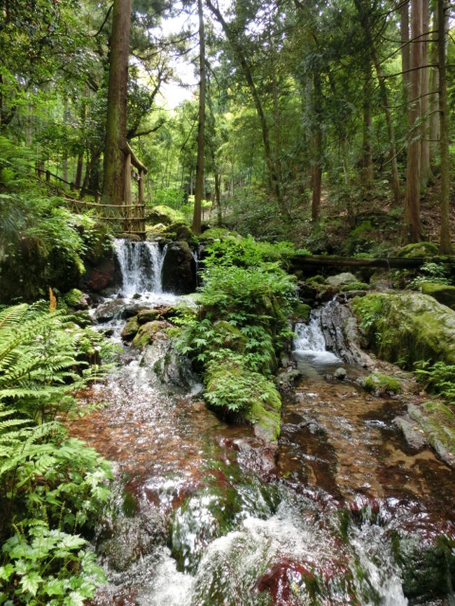 瓜割の滝正面から。