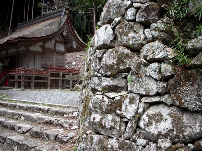 　滋賀県内によく見られる<br /><br />「穴太積み(あのうづみ)」と呼ばれる石垣。<br /><br />自然石を加工せずに積み上げ、地震でも<br /><br />崩れないそうです。加工しないので、角も<br /><br />湾曲してますね。