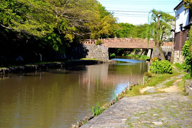<br /><br />　近江八幡は水郷で有名