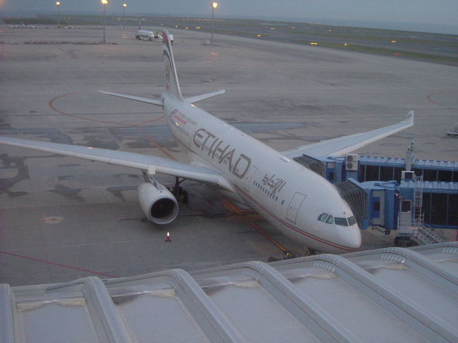 空港にて両替。１万円が２１７リラ（１リラ４６円）。言われるほど交換率は悪くはない。市内では２１０リラ、グランドバザールの中では、２２３リラ（４５円）だった。トルコ第３の都市アンタルヤでは１９０リラ（５２円）だったので、必要予算の大部分を変えておいた方が良い。地方で１割以上の手数料を取られるよりは、４，５パーセントの手数料がかかるけどカードの使用が良いと思った。<br />とりあえず空港にて5万円両替。後の10万円は市内の銀行や両替店で交換するつもり。少額の物をたくさんもらうこと。<br />トイレに入って、あちこちにあるポケットや荷物の中に分散させる。<br />5万円はパスポート入れに入れる。<br />1ヶ月の旅で20万円の予算。足りるのか足りないのか不安だが何とか済ませるつもり。<br /><br />ＡＴＭはどこにでもあったが、１回だけ使ってみようとしたが、何故だか使えなかった。地元の人にやってもらったがだめだった。ヴィザのゴールドカードなんだけどなぁ。<br /><br />２００５年にデノミが行われ一挙に６ケタ（１００万リラが１リラになった）当時いちいち０の数を数えることができなくてお札の色で判断していたと言う。だから新リラになっても同じ色の札は同じ値だった。名古屋発着８６３６０円　（航空券４５６００円、税、手数料、サチャージ４０７６０円）<br />３月２９日に直接ＨＰより。申し込む。自由に検索でき、日々値段が変わる。変動相場制で同じ日の便が値段が乱高下で変わる。<br /><br />実は昨年１１月に早ければより安いだろうと、当時一番安かったエティハド航空５月２９日発の便を発券払込（１１９２８０円）したが、３月２９日になって１週間早めれば３万円以上安くなるの知って、５月２２日発便に予約したのだが、これがとんでもないことになった。<br /><br />予約し終わり、５月２９日分をキャンセルしたいと電話すると、発着月日の変更は１万円でできるが、契約条件に同意した以上、書いてあるとうり返金はされないとのこと。数字とキャンセルの文字しか英語の読めない悲しさ、１万円でキャンセルできると思ったんです。<br />それでは今直前に予約した５月２２日発便をキャンセルしたいと言うと、それも同じ理由でできないと言う。航空券自体は有効なので、妻の財無大尽に相談すると、丸丸損をするより、もったいないから「行けば」とのお言葉をいただき、仕方なく９月にもう一度トルコに行く羽目になってしまった。<br /><br />２０１２年５月２２日<br />名古屋発空港よりエティハド航空北京経由アブダビに行き、乗り換えてイスタンブールに着いた。アブダビは７つのアラブ首長国連邦の首都であり、ドバイは大阪、アブダビは東京に相当します。<br /><br />イスタンブールには２０１０年には７００万人の観光客が訪れたと言う。日本人はなぜかイスタンブールと延ばすが、トルコ人や他の国の人は延ばさないようだ。<br /><br />クルーが乗り込んでいく。４本の金線が入っているのが機長らしい。大佐のクラスで軍艦や商船でも船長は大佐が最高で、いくら大きくても将官クラスは存在しない。飛行機もそれに倣っている。一昔前はスチュワーデスとかスチュワートと言った物ですが、何でも豚小屋の番人と言う意味があるそうで、近頃は使わなくなっているようですが、キャビンアテンダントとかＣＡよりもスッチーと言った時の方が親しみやすいと思うがなぁー　　赤毛のアンさんスッチーなーんてさ<br /><br />