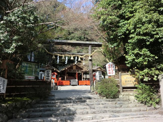 野宮神社で願い事。源氏物語ゆかりの地で、恋愛成就にご利益があるそうです。