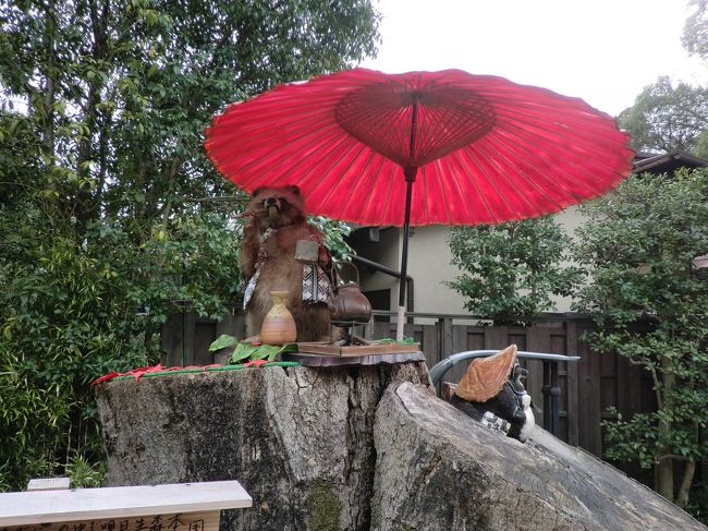 たぬきさん。円山公園の近くで見つけました。一杯やってるwかわいいw