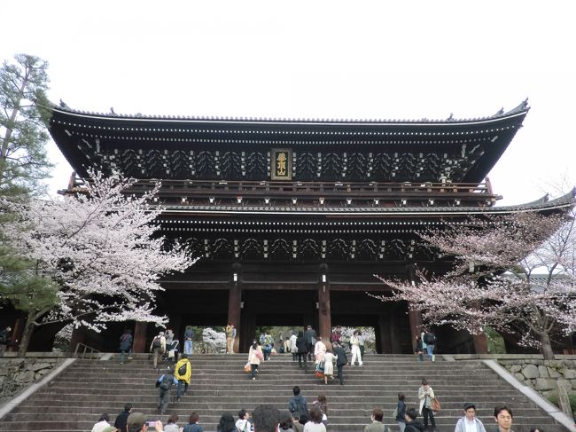 ランチの後は祇園まで戻ってきて知恩院。