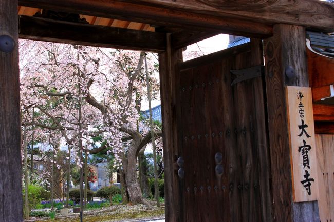 帰りに立ち寄った越前市大寶寺