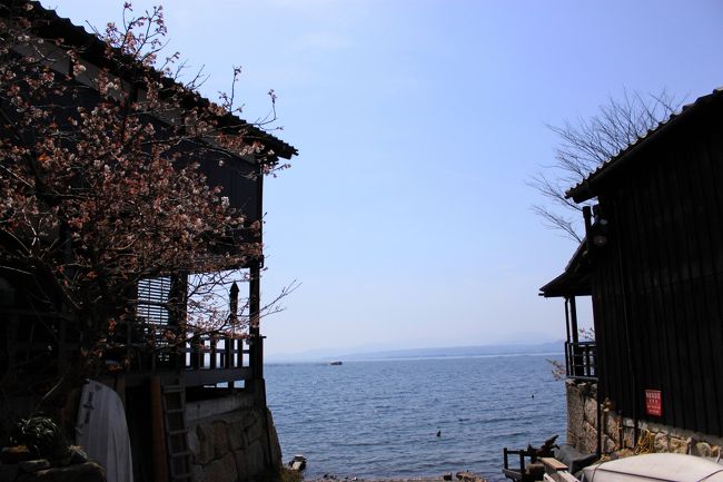 右は雑貨屋さんですがテラスでお茶出来ます。<br />左は喫茶店 <br />海津大崎の桜を眺めつつお茶したいなぁ...