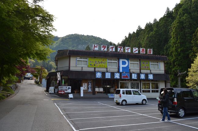 ゴールデンウィークで道路が混んでいたら嫌なので朝５時に神戸を出発したら渋滞もなく８時前には赤目四十八滝へ到着。<br />おかげで誰もいない遊歩道をのんびり散策できました。