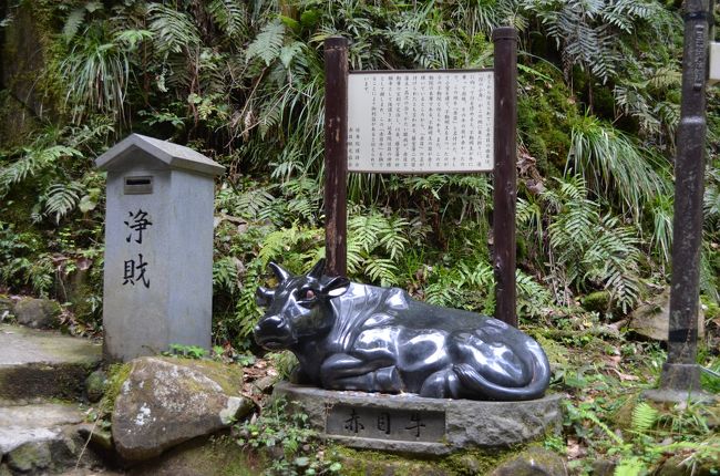 赤目牛　不動明王が乗って現れたという伝説の赤い目の牛。