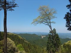 岩茸石山山頂に到着！

見晴らしがいい！
山桜の木がありました。

表紙の写真も、ここからの風景です。