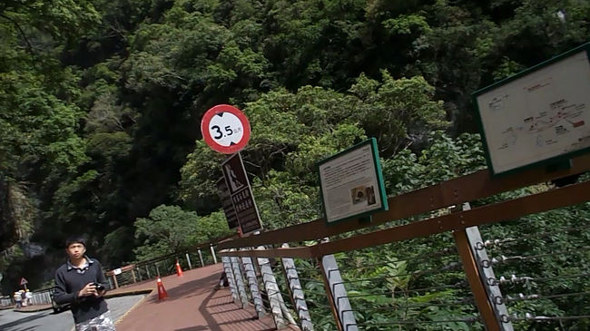 約３０分デレデレ歩いて