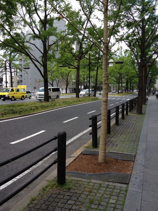 大阪でもこんなに落ち着いた通りもある。休日の本町あたり。