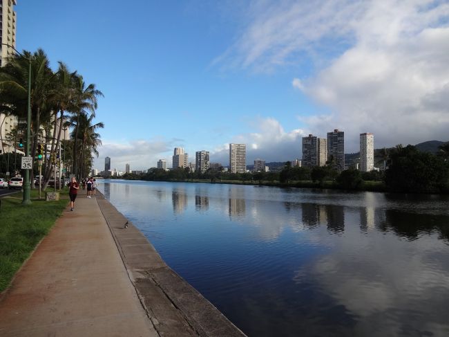 朝のアラワイ運河を散歩<br />気持ちいいぃ〜