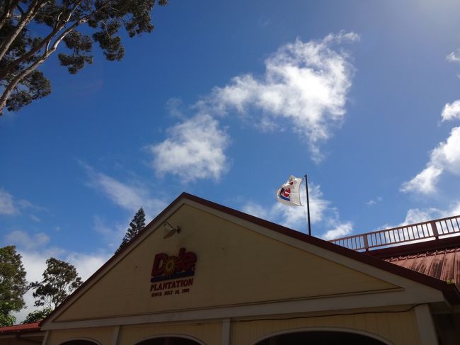 お約束のDOLE<br /><br />濃いいパイナップルを食べに