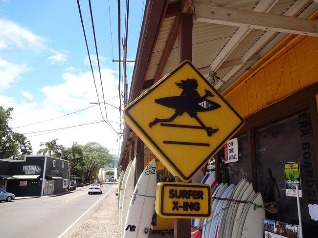 大好きなサーフアンドシー