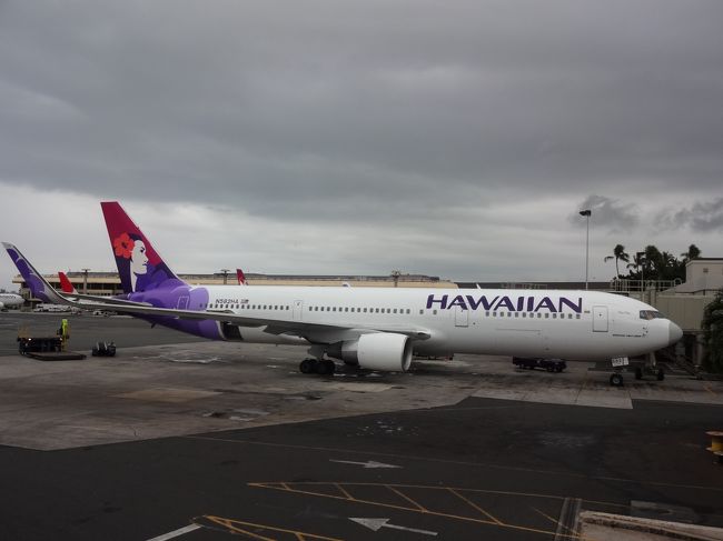 ハワイアン航空<br /><br />Ｇｏｏｄデザイン