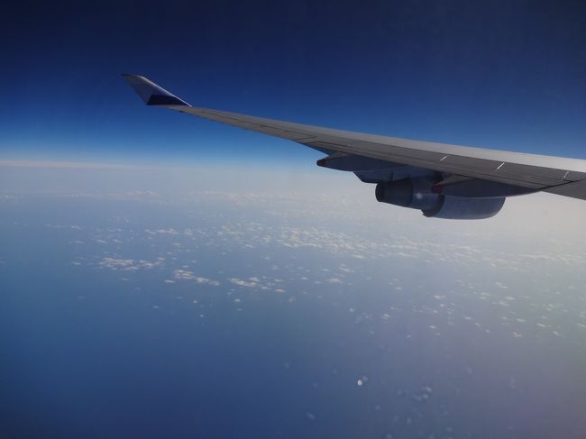 また近いうちに、帰ってくるよぉ〜