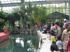 とりあえずチンパンジーの学習発表会とやらを見学。
でもまあ。昨日も猿回しを見たからね。