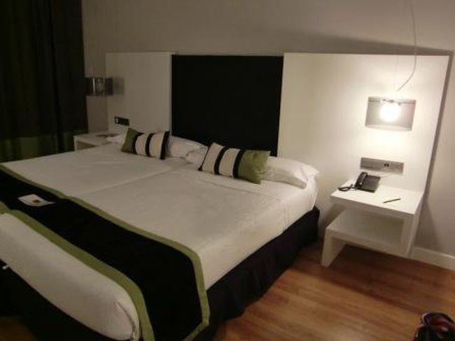 マラガへの道程はすっかり日が暮れてしまいました。<br />高速道路A-92→AP-46 をひたすら地中海へ向けて移動するだけでしたが、マラガ市内へ向かうA-7への分岐を間違え少し遠回りをしてしまいました。<br />ホテルはVincci Hotel Malaga。市内から離れますが地中海が見たくて海岸沿いのこのホテルに。<br />但し周りが完全な住宅街なのでTaxi、レンタカーなどで市内に移動しない限り何もできません。